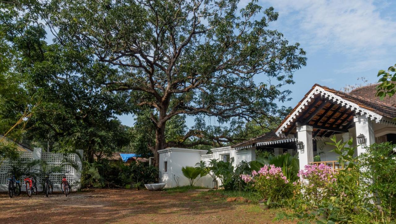 The Island Sanctuary - A Village Secret Chorao Exterior foto